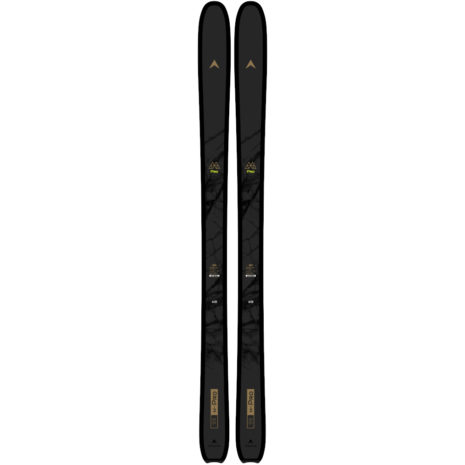 Dynastar M-Pro 99 skis