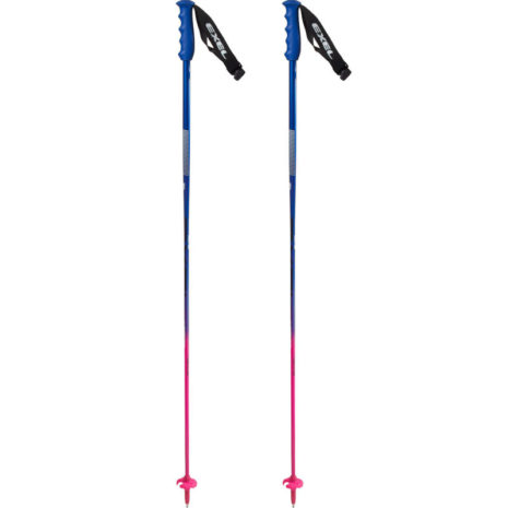 Exel ski instructor ski poles